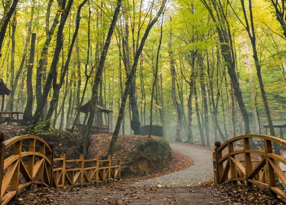 Belgrad Forest istanbul